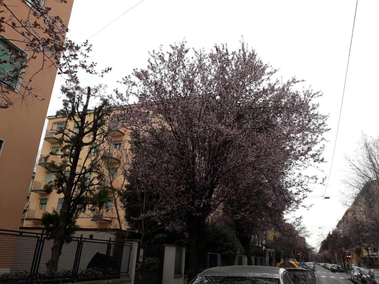 Sant'Orsola Bologna Appartamento 외부 사진